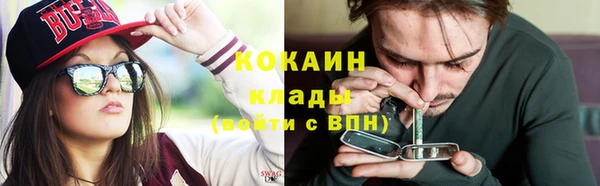 мет Бородино