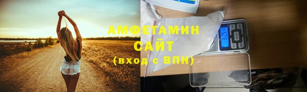 прущие грибы Бугульма
