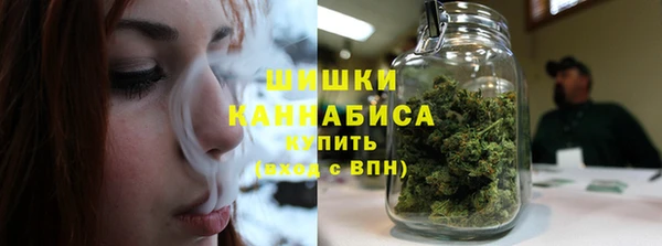 мет Бородино