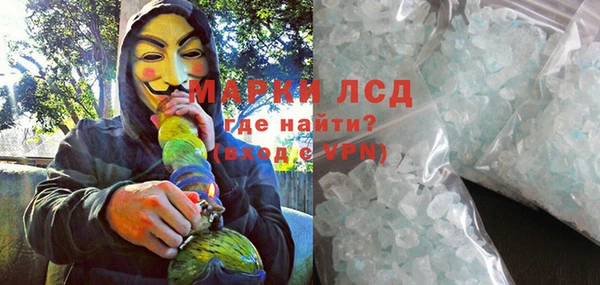 прущие грибы Бугульма
