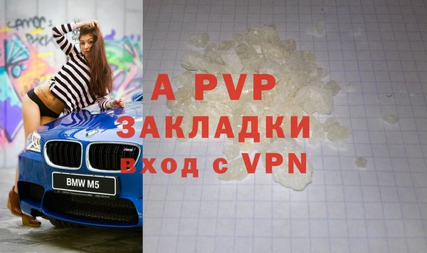 прущие грибы Бугульма