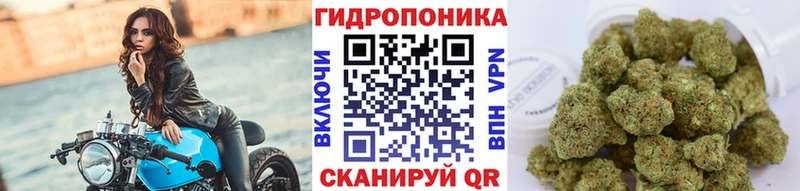 Купить где  Бабушкин  МАРИХУАНА OG Kush 